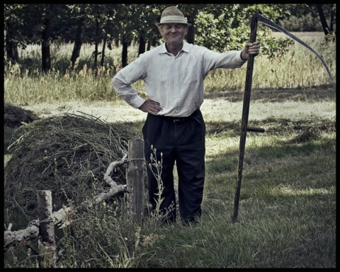 Kliknij na zdjęcie, żeby zobaczyć w pełnych wymiarach