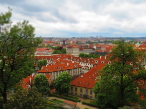 Kliknij na zdjęcie, żeby zobaczyć w pełnych wymiarach