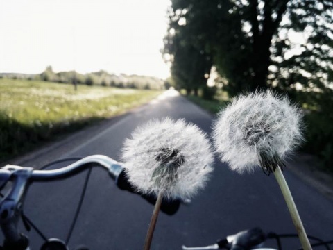 Kliknij na zdjęcie, żeby zobaczyć w pełnych wymiarach