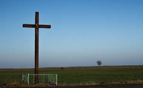 Kliknij na zdjęcie, żeby zobaczyć w pełnych wymiarach