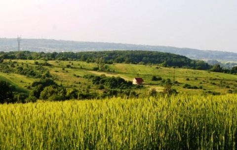 Kliknij na zdjęcie, żeby zobaczyć w pełnych wymiarach