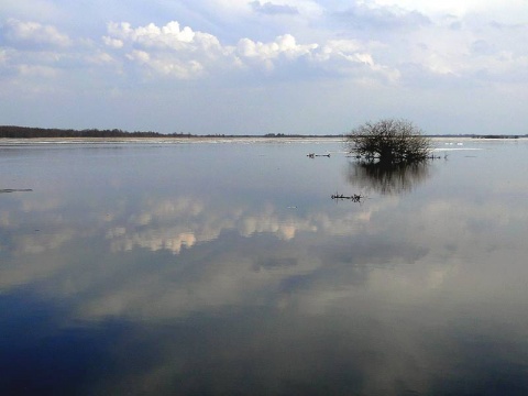 Kliknij na zdjęcie, żeby zobaczyć w pełnych wymiarach