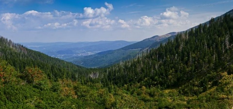 Kliknij na zdjęcie, żeby zobaczyć w pełnych wymiarach