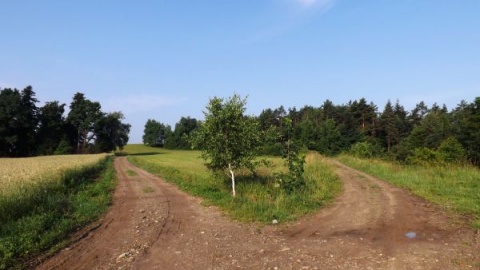 Kliknij na zdjęcie, żeby zobaczyć w pełnych wymiarach