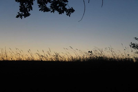 Kliknij na zdjęcie, żeby zobaczyć w pełnych wymiarach