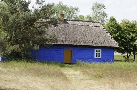 Kliknij na zdjęcie, żeby zobaczyć w pełnych wymiarach