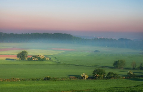 Kliknij na zdjęcie, żeby zobaczyć w pełnych wymiarach