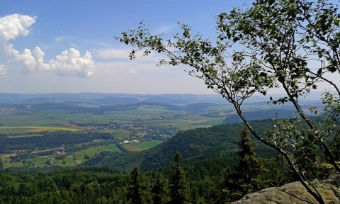 Kliknij na zdjęcie, żeby zobaczyć w pełnych wymiarach