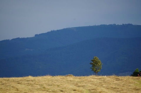 Kliknij na zdjęcie, żeby zobaczyć w pełnych wymiarach