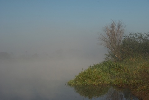 Kliknij na zdjęcie, żeby zobaczyć w pełnych wymiarach