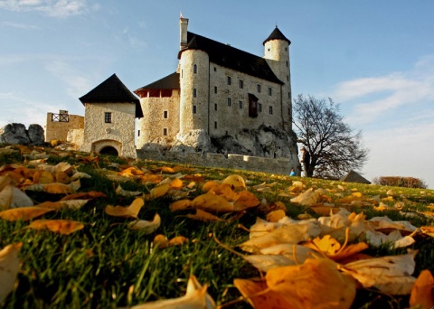 Kliknij na zdjęcie, żeby zobaczyć w pełnych wymiarach