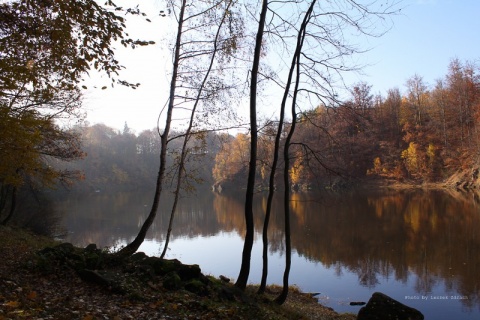 Kliknij na zdjęcie, żeby zobaczyć w pełnych wymiarach