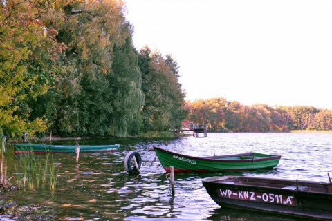 Kliknij na zdjęcie, żeby zobaczyć w pełnych wymiarach