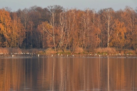 Kliknij na zdjęcie, żeby zobaczyć w pełnych wymiarach