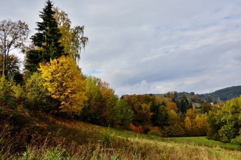 Kliknij na zdjęcie, żeby zobaczyć w pełnych wymiarach