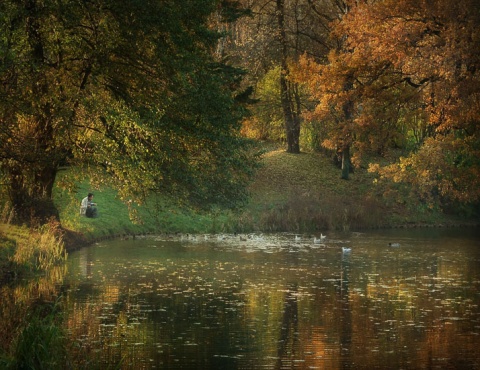 Kliknij na zdjęcie, żeby zobaczyć w pełnych wymiarach