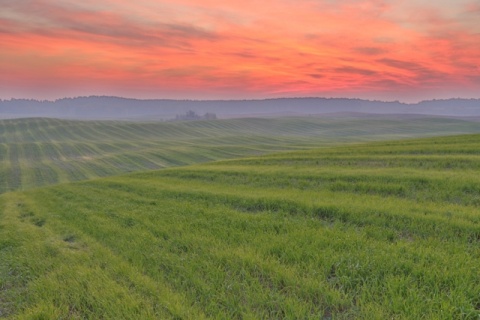 Kliknij na zdjęcie, żeby zobaczyć w pełnych wymiarach