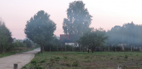 Kliknij na zdjęcie, żeby zobaczyć w pełnych wymiarach