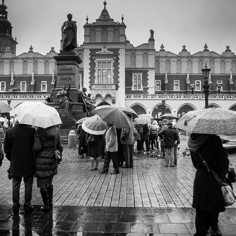 Kliknij na zdjęcie, żeby zobaczyć w pełnych wymiarach