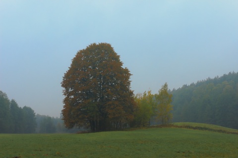 Kliknij na zdjęcie, żeby zobaczyć w pełnych wymiarach