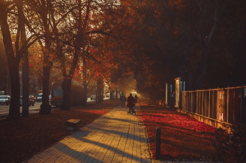 Kliknij na zdjęcie, żeby zobaczyć w pełnych wymiarach