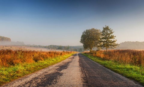 Kliknij na zdjęcie, żeby zobaczyć w pełnych wymiarach