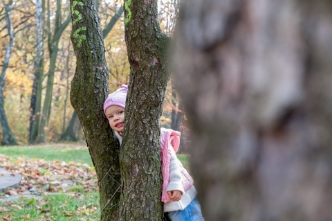 Kliknij na zdjęcie, żeby zobaczyć w pełnych wymiarach