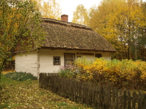 Kliknij na zdjęcie, żeby zobaczyć w pełnych wymiarach