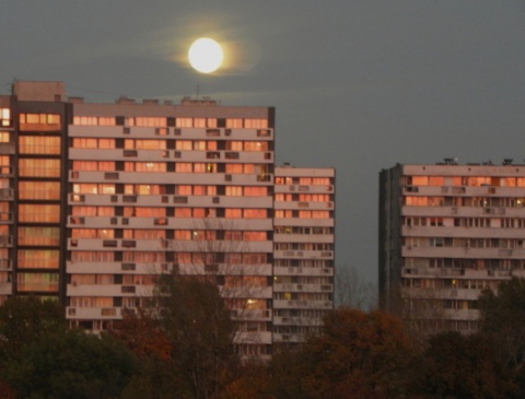 Kliknij na zdjęcie, żeby zobaczyć w pełnych wymiarach