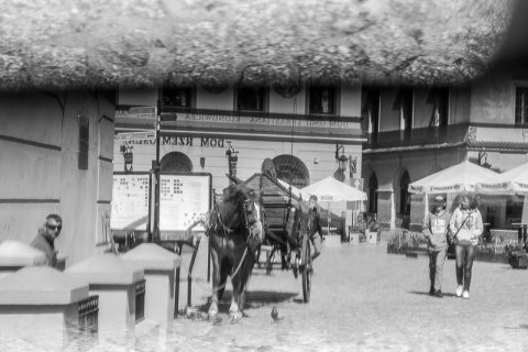 Kliknij na zdjęcie, żeby zobaczyć w pełnych wymiarach