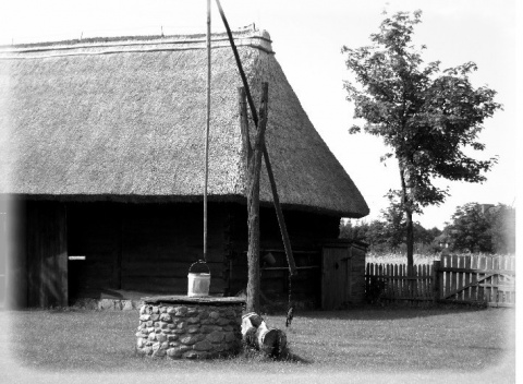 Kliknij na zdjęcie, żeby zobaczyć w pełnych wymiarach