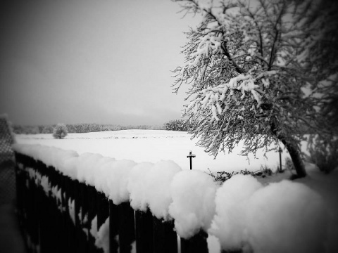 Kliknij na zdjęcie, żeby zobaczyć w pełnych wymiarach