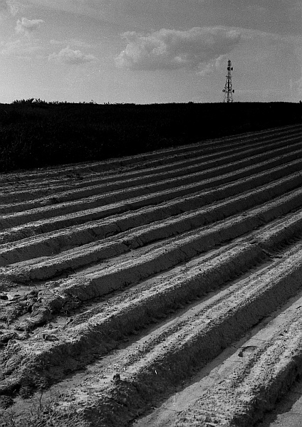 Kliknij na zdjęcie, żeby zobaczyć w pełnych wymiarach