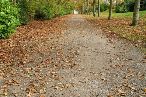 Kliknij na zdjęcie, żeby zobaczyć w pełnych wymiarach