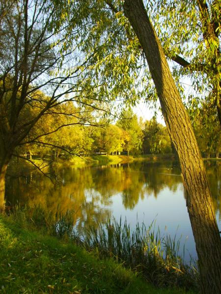 Kliknij na zdjęcie, żeby zobaczyć w pełnych wymiarach