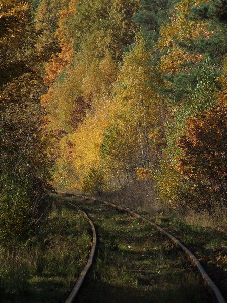 Kliknij na zdjęcie, żeby zobaczyć w pełnych wymiarach