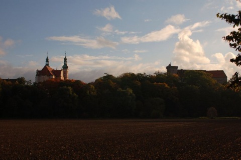 Kliknij na zdjęcie, żeby zobaczyć w pełnych wymiarach