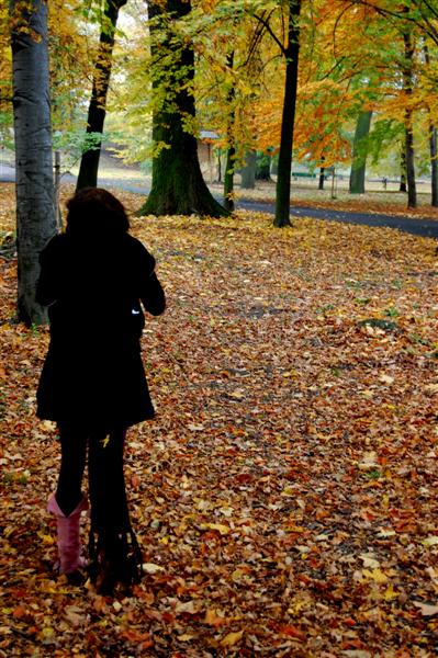 Kliknij na zdjęcie, żeby zobaczyć w pełnych wymiarach