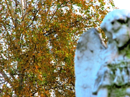 Kliknij na zdjęcie, żeby zobaczyć w pełnych wymiarach