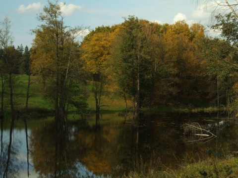 Kliknij na zdjęcie, żeby zobaczyć w pełnych wymiarach