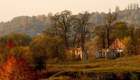 Kliknij na zdjęcie, żeby zobaczyć w pełnych wymiarach