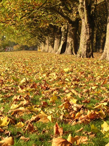 Kliknij na zdjęcie, żeby zobaczyć w pełnych wymiarach