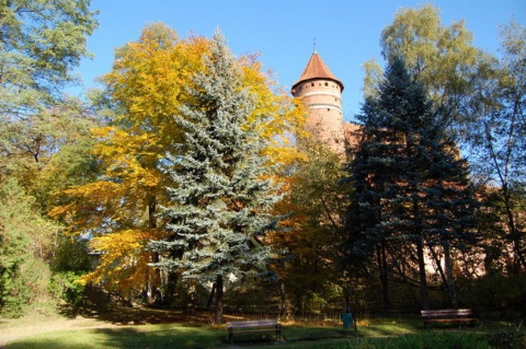 Kliknij na zdjęcie, żeby zobaczyć w pełnych wymiarach