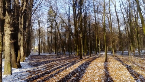 Kliknij na zdjęcie, żeby zobaczyć w pełnych wymiarach