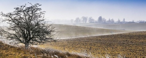 Kliknij na zdjęcie, żeby zobaczyć w pełnych wymiarach