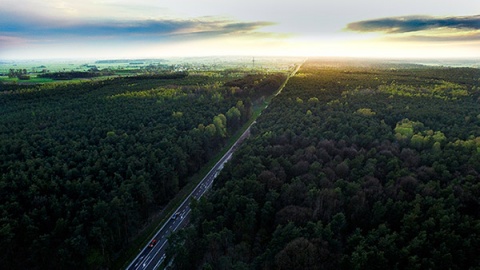 Kliknij na zdjęcie, żeby zobaczyć w pełnych wymiarach