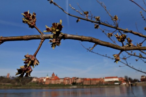 Kliknij na zdjęcie, żeby zobaczyć w pełnych wymiarach