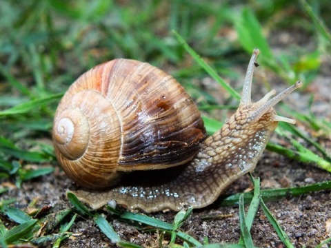 Kliknij na zdjęcie, żeby zobaczyć w pełnych wymiarach