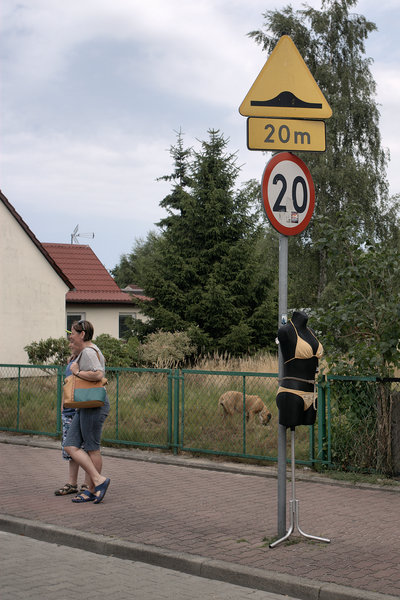 Kliknij na zdjęcie, żeby zobaczyć w pełnych wymiarach