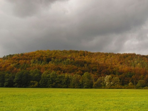 Kliknij na zdjęcie, żeby zobaczyć w pełnych wymiarach